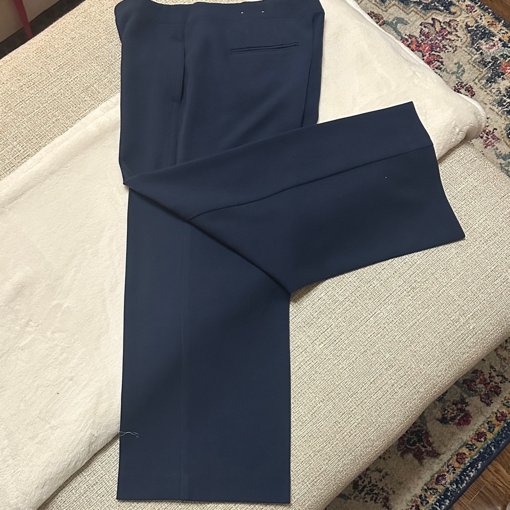 Ann Taylor Navy Ankle Pants